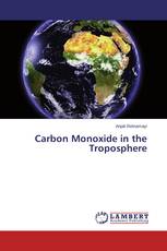 Carbon Monoxide in the Troposphere