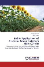 Foliar Application of Essential Micro nutrients (Mn+Zn+B)