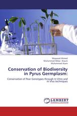 Conservation of Biodiversity in Pyrus Germplasm
