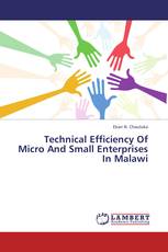 Technical Efficiency of Micro and Small Enterprises in Malawi