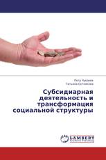 Субсидиарная деятельность и трансформация социальной структуры
