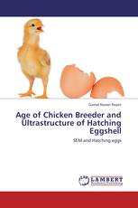 Age of Chicken Breeder and Ultrastructure of Hatching Eggshell