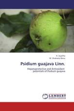 Psidium guajava Linn.