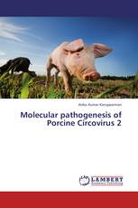 Molecular pathogenesis of Porcine Circovirus 2
