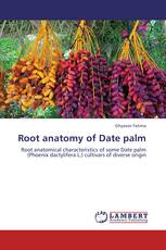 Root anatomy of Date palm