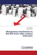 Manganese enrichment in the Rat brain after cortical infarction