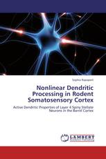 Nonlinear Dendritic Processing in Rodent Somatosensory Cortex