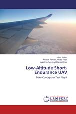 Low-Altitude Short-Endurance UAV