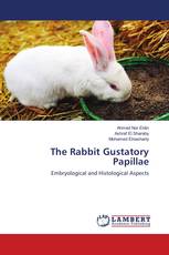 The Rabbit Gustatory Papillae