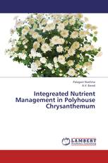 Integreated Nutrient Management in Polyhouse Chrysanthemum