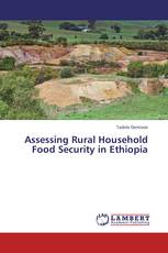 Assessing Rural Household Food Security in Ethiopia