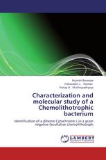 Characterization and molecular study of a Chemolithotrophic bacterium