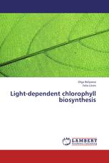 Light-dependent chlorophyll biosynthesis