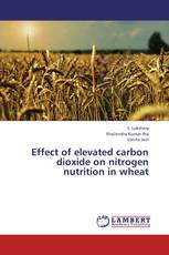 Effect of elevated carbon dioxide on nitrogen nutrition in wheat