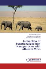Interaction of Functionalized Iron Nanoparticles with Influenza Virus
