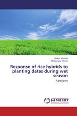 Response of rice hybrids to planting dates during wet season