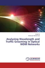 Analyzing Wavelength and Traffic Grooming in Optical WDM Networks