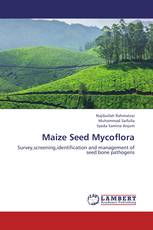 Maize Seed Mycoflora