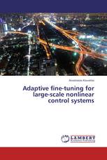 Adaptive Fine-tuning for Large-scale Nonlinear Control Systems