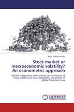 Stock market or macroeconomic volatility? An econometric approach