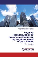 Оценка инвестиционной привлекательности муниципального образования