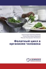 Фолатный цикл в организме человека