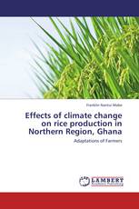 Effects of climate change on rice production in Northern Region, Ghana