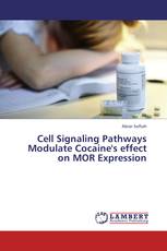 Cell Signaling Pathways Modulate Cocaine's effect on MOR Expression