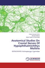 Anatomical Studies On Cranial Nerves Of Hypophthalmichthys Molitrix