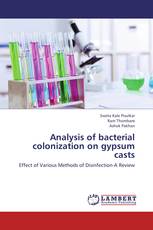 Analysis of bacterial colonization on gypsum casts
