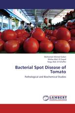 Bacterial Spot Disease of Tomato