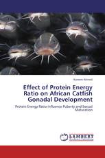 Effect of Protein Energy Ratio on African Catfish Gonadal Development