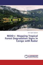 REDD+: Mapping Tropical Forest Degradation Signs in Congo with Radar