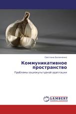 Коммуникативное пространство