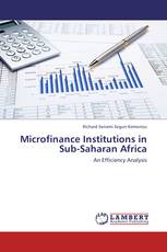 Microfinance Institutions in Sub-Saharan Africa