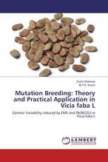 Mutation Breeding: Theory and Practical Application in Vicia faba L