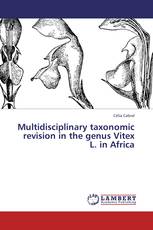 Multidisciplinary taxonomic revision in the genus Vitex L. in Africa