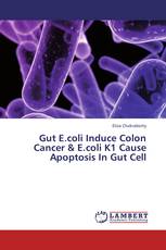 Gut E.coli Induce Colon Cancer & E.coli K1 Cause Apoptosis In Gut Cell