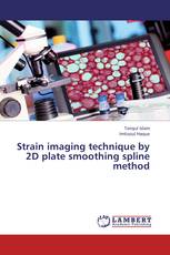 Strain imaging technique by 2D plate smoothing spline method