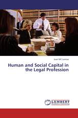 Human and Social Capital in the Legal Profession