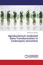Agrobacterium mediated Gene Transformation in Codonopsis lanceolata