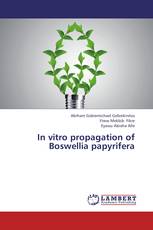 In vitro propagation of Boswellia papyrifera