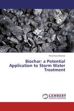 Biochar: a Potential Application to Storm Water Treatment