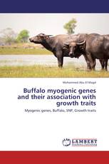 Buffalo myogenic genes and their association with growth traits