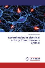 Recording brain electrical activity from conscious animal