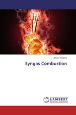 Syngas Combustion