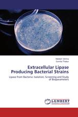 Extracellular Lipase Producing Bacterial Strains