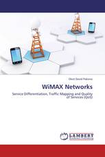 WiMAX Networks