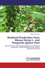 Biodiesel Production from Mesua ferrea L. and Pongamia glabra Vent