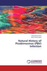 Natural History of Picobirnavirus (PBV) Infection